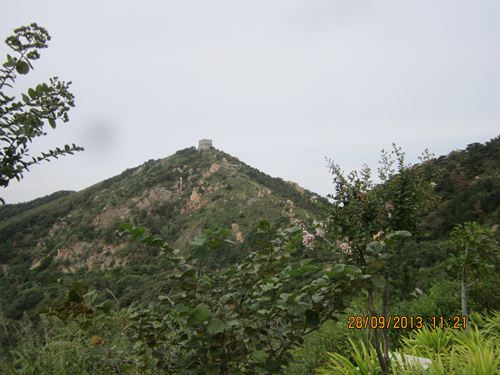 IMG_0830.jpg