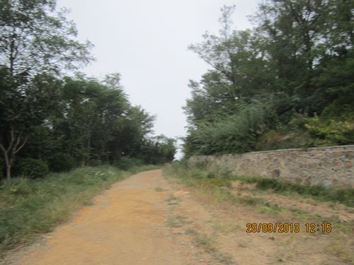 IMG_0900.jpg