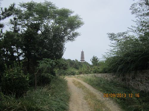 IMG_0901.jpg