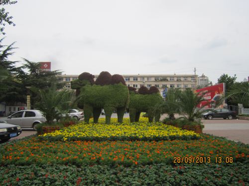 IMG_0951.jpg