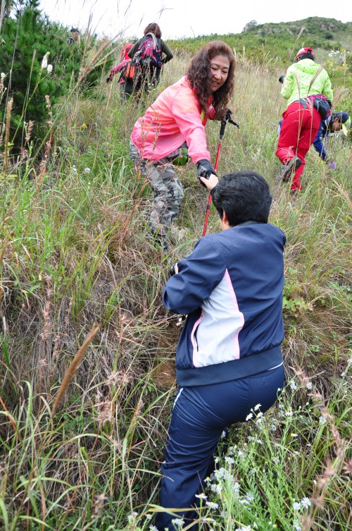 dsc_0105_conew1.jpg