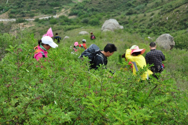 dsc_0656_conew1.jpg