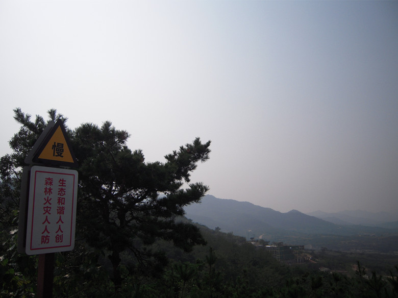 37.森林防火.jpg