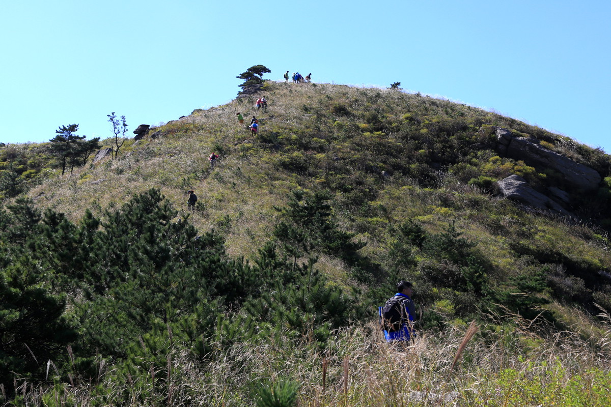 IMG_0115_副本.jpg