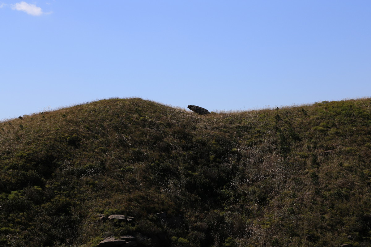 IMG_0159_副本01.jpg