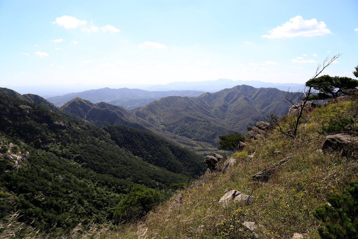 IMG_0205_副本.jpg