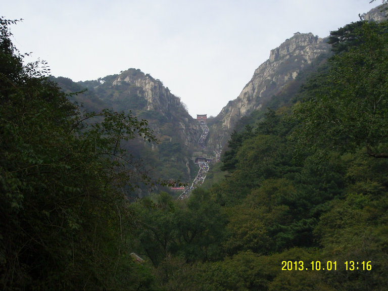 泰山
