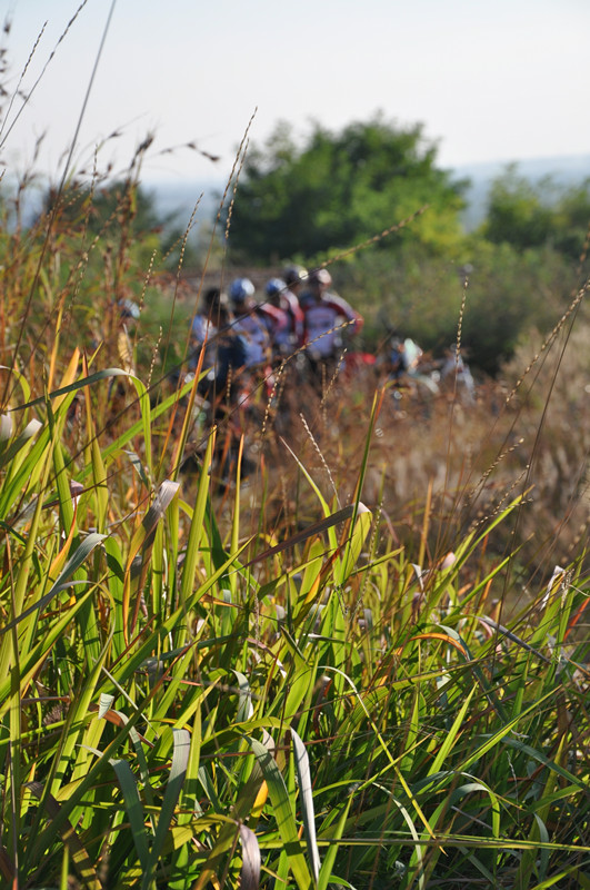莱州场地4.jpg