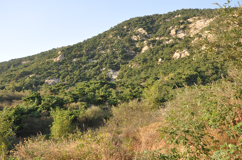 云峰山2.jpg