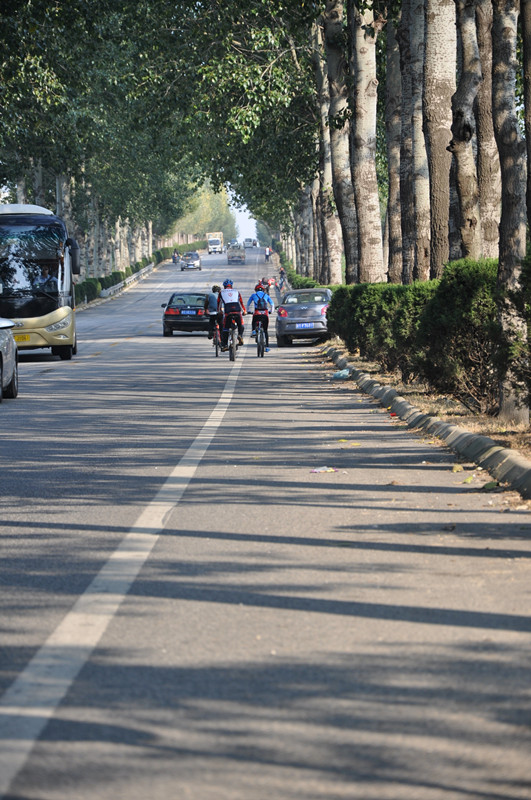 招远去栖霞的路上.jpg