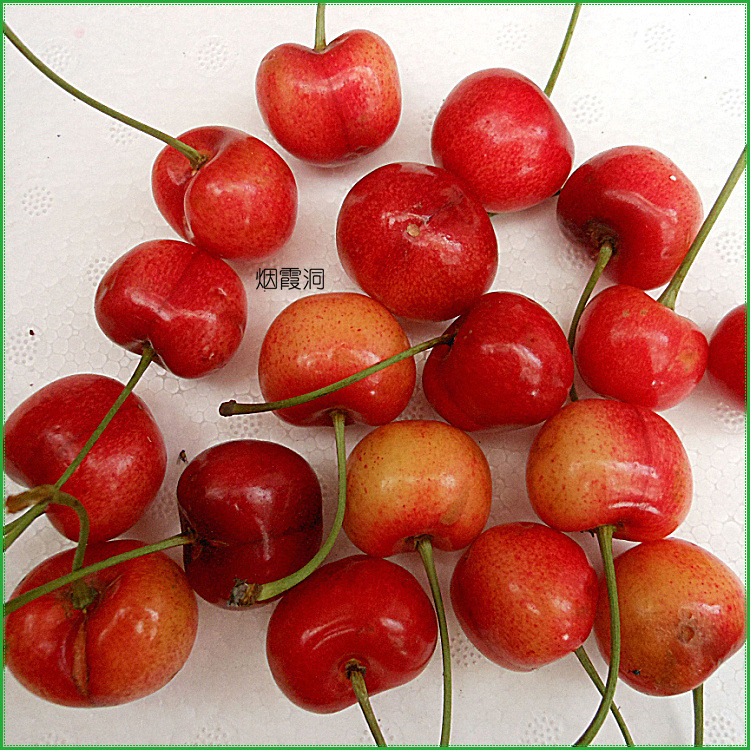 照片 1534.jpg