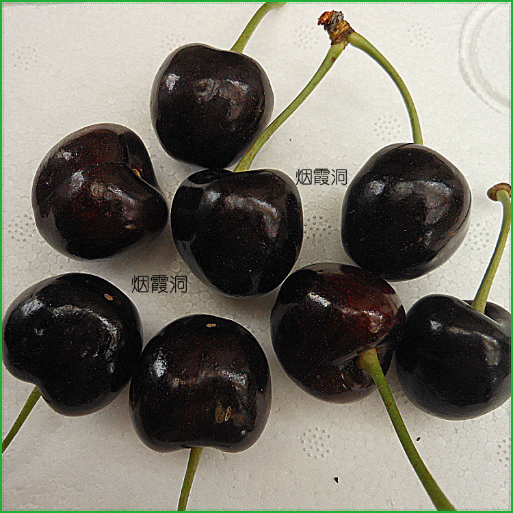 照片 1860.jpg