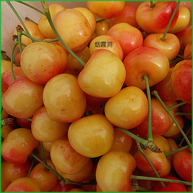 照片 1900.jpg