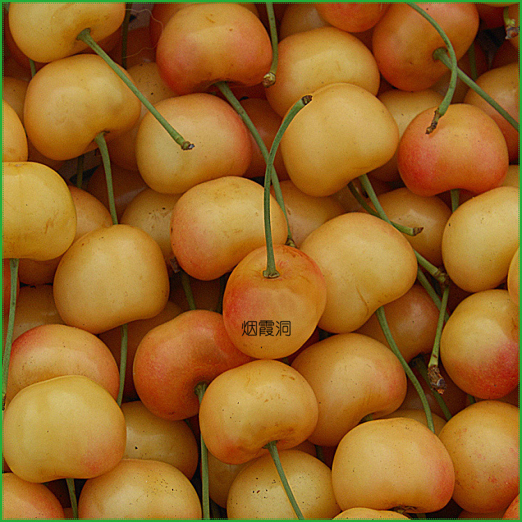 照片 1932.jpg