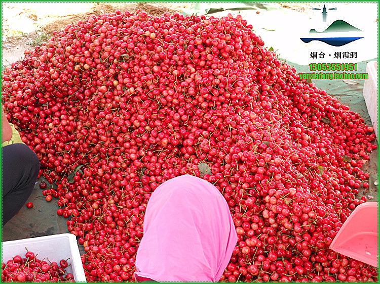 照片 881.jpg