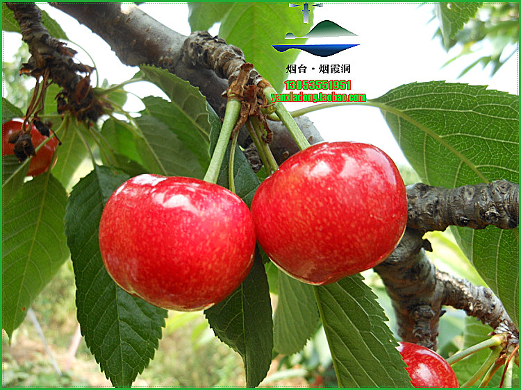 照片 1104.jpg