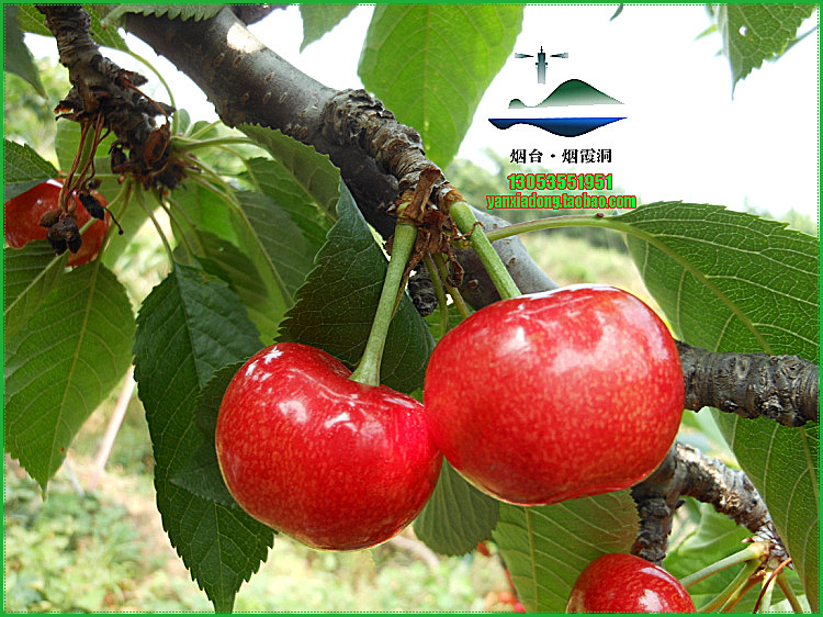 照片 1105.jpg