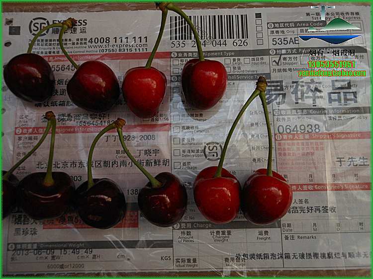 照片 1184.jpg