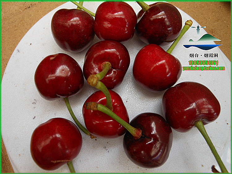 照片 1277.jpg