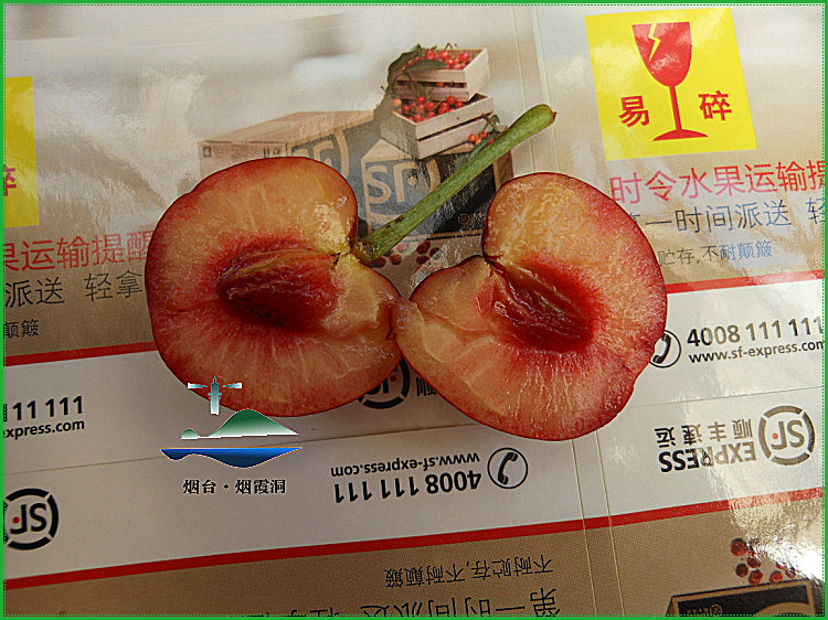 照片 1431.jpg