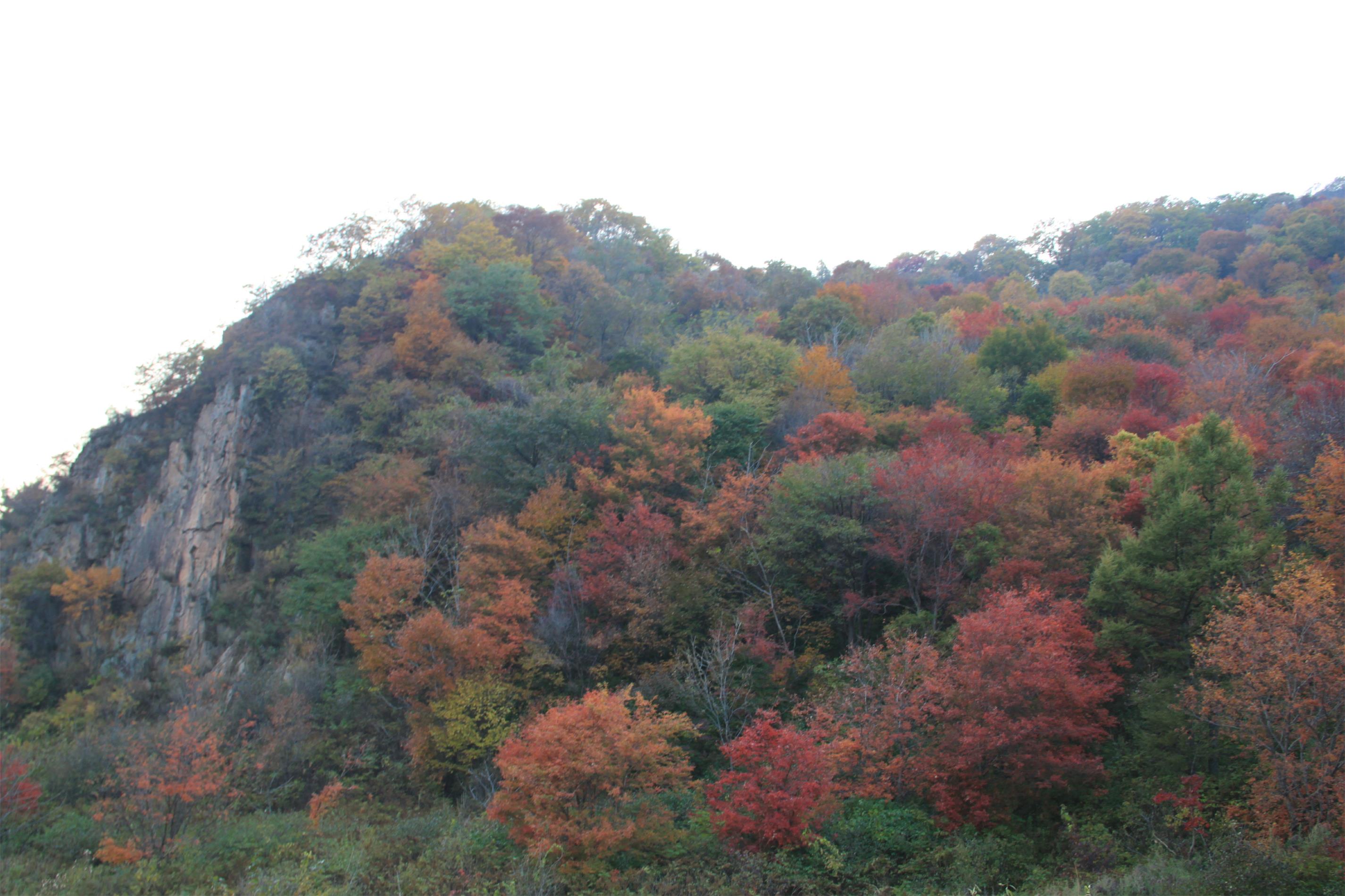 IMG_4236_看图王.jpg