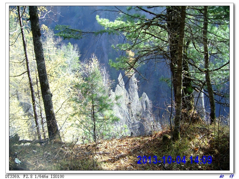 PICT7324.jpg