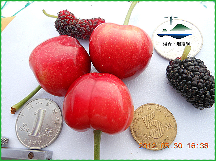DSCN0138.jpg