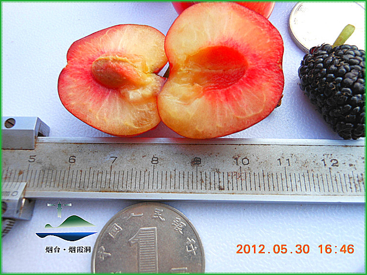 DSCN0142.jpg