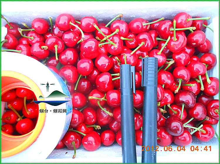 DSCN0292.jpg