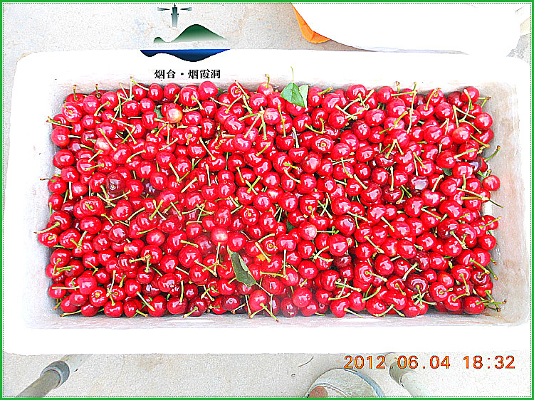 DSCN0357.jpg