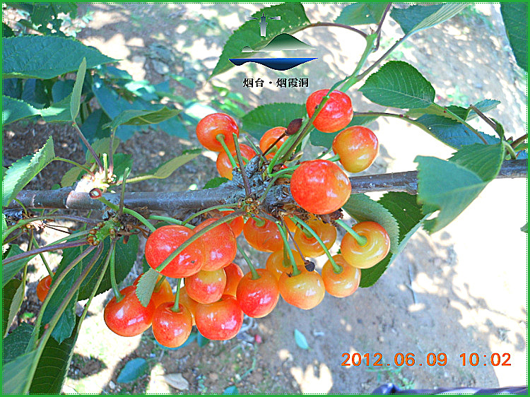 DSCN0484.jpg