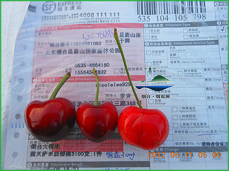 DSCN0631.jpg