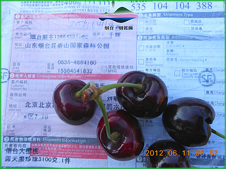 DSCN0657.jpg