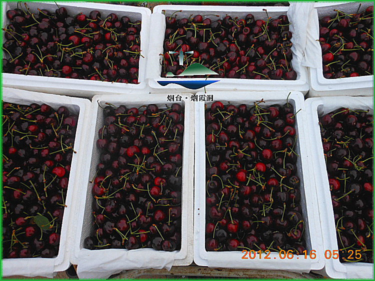 DSCN0814.jpg