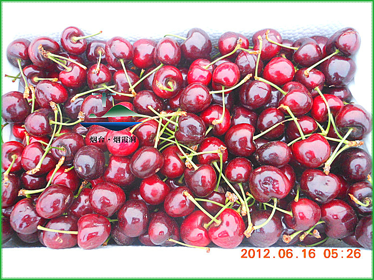 DSCN0817.jpg