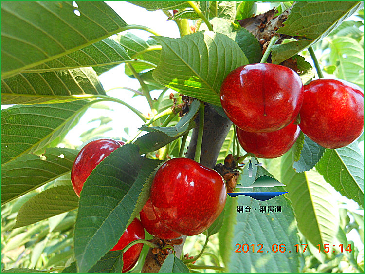 DSCN0927.jpg