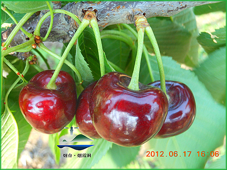 DSCN0992.jpg