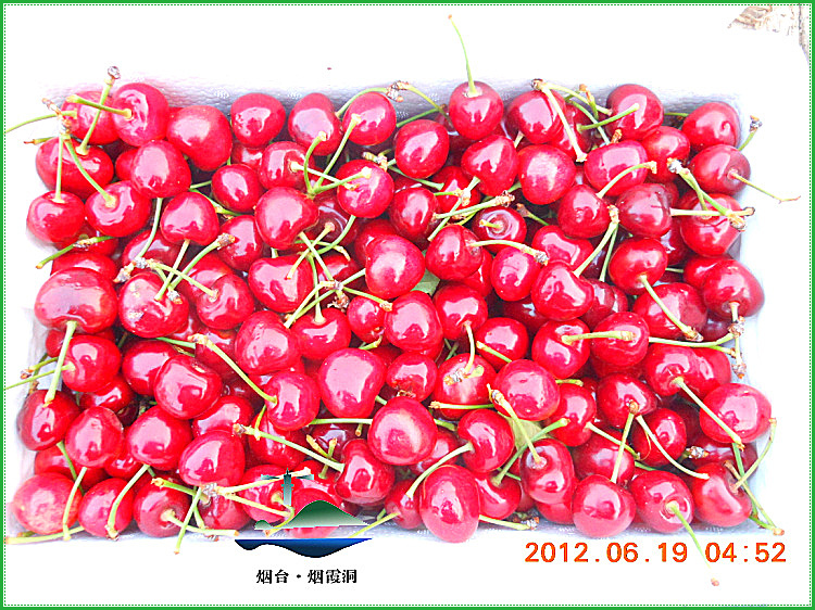 DSCN1020.jpg