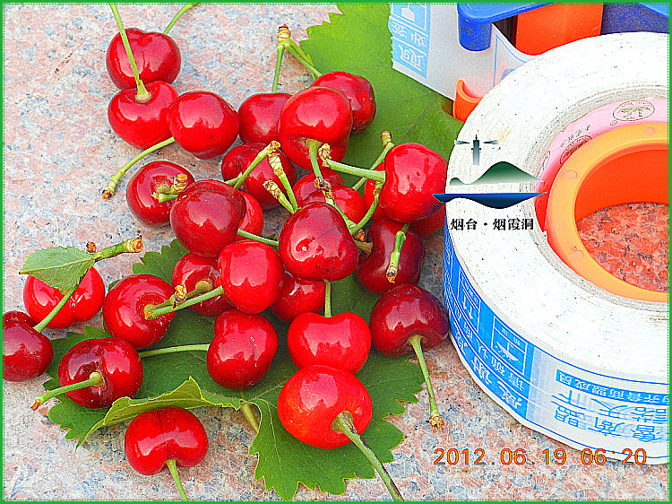 DSCN1030.jpg