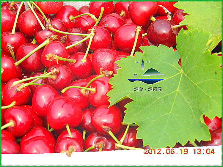 DSCN1042.jpg