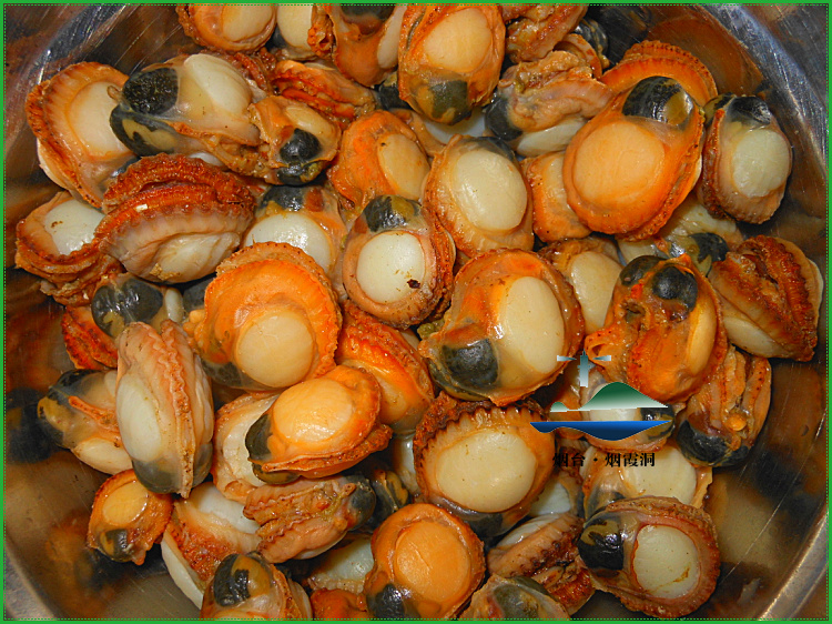 照片 2287.jpg