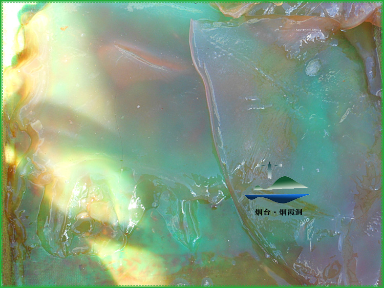照片 2318.jpg