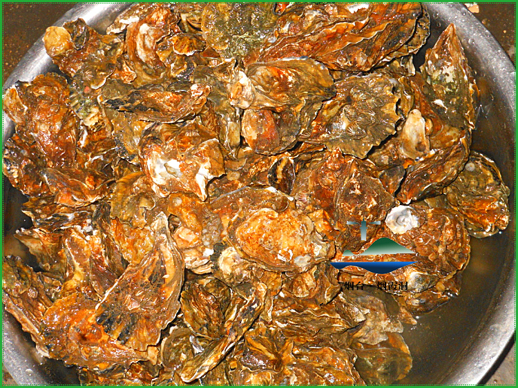 照片 2336.jpg