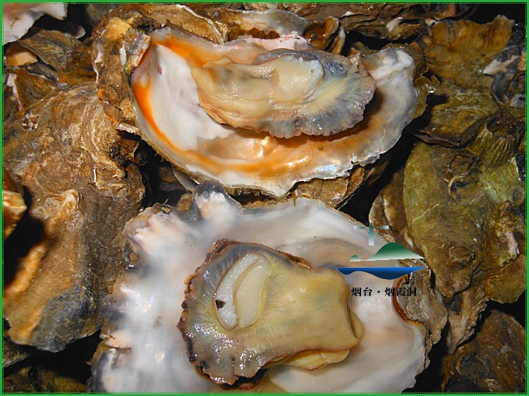 照片 2350.jpg