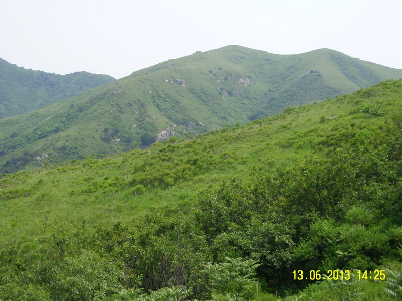 6月塔顶.jpg