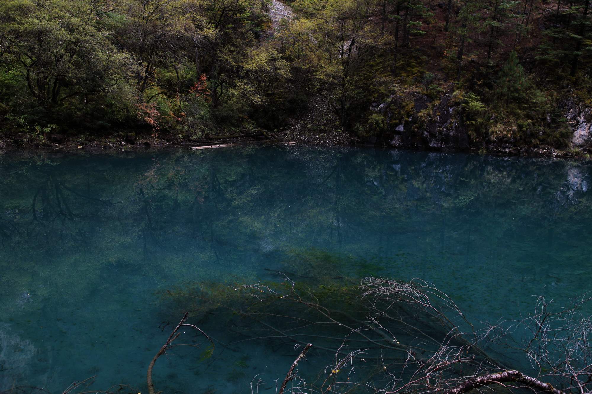 川西【1】措卡湖 1658.jpg