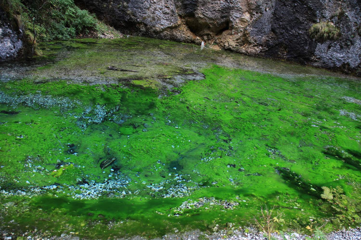 川西【1】措卡湖 1676.jpg