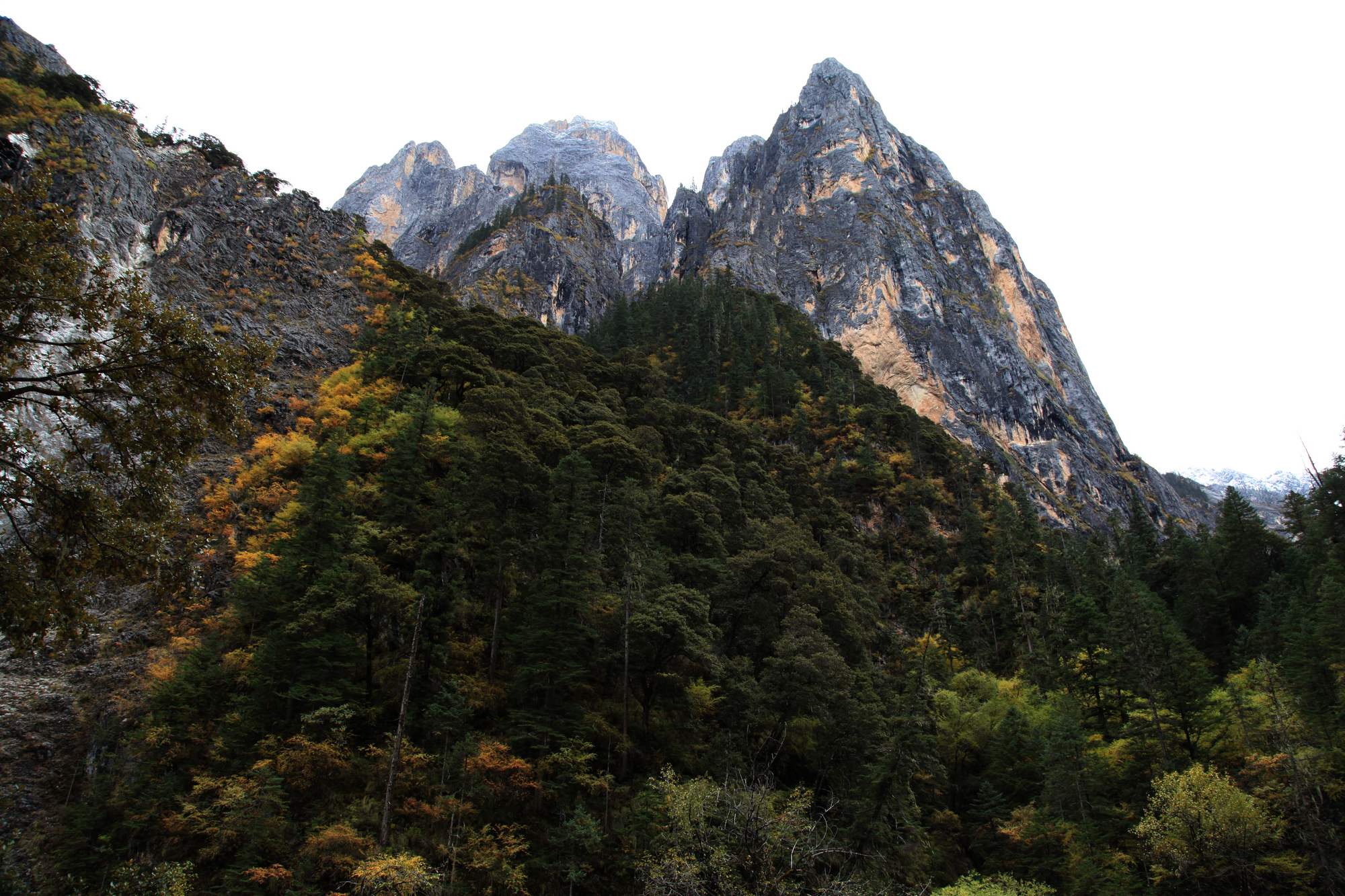 川西【2】贡嘎山 049.jpg