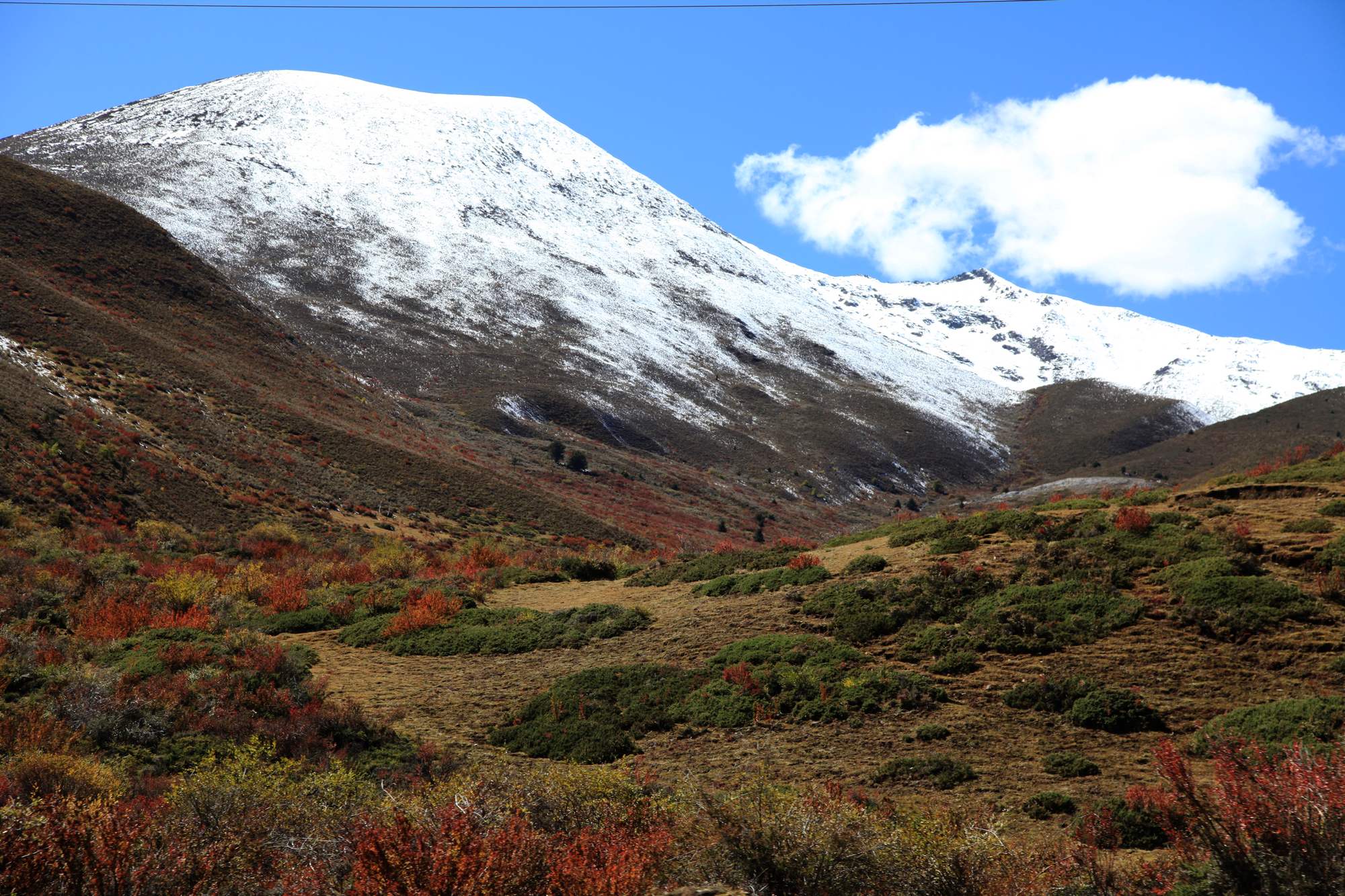 川西【2】贡嘎山 572.jpg