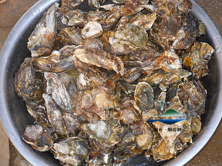 照片 2687.jpg